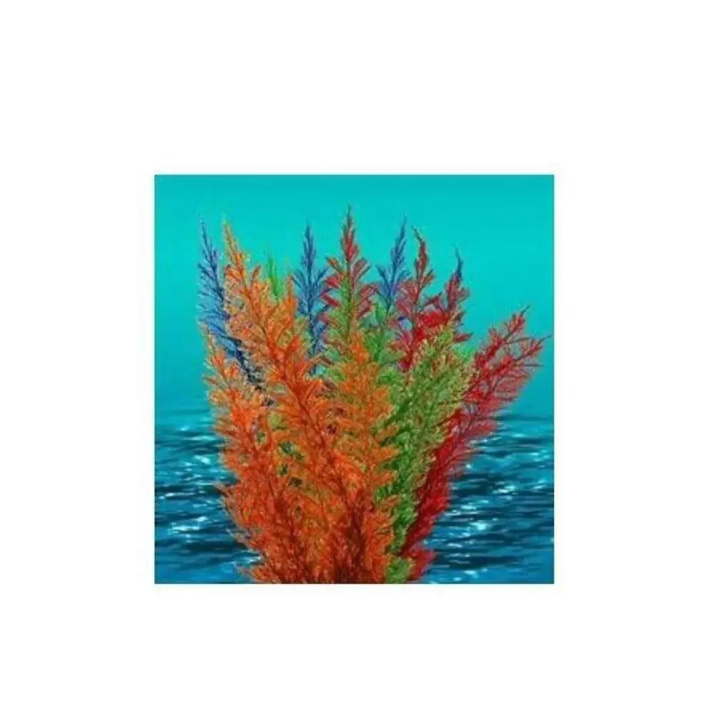 Nature's Image: Aquafern Medium, Freshwater 6